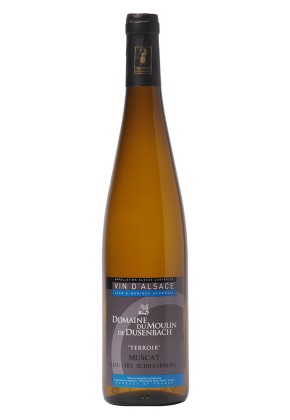 Vins d'Alsace AOP Muscat  Domaine du Moulin de Dusenbach Domaine du Moulin de Dusenbach Muscat Terroir - Lieu-dit Schieferberg - Sec 2023